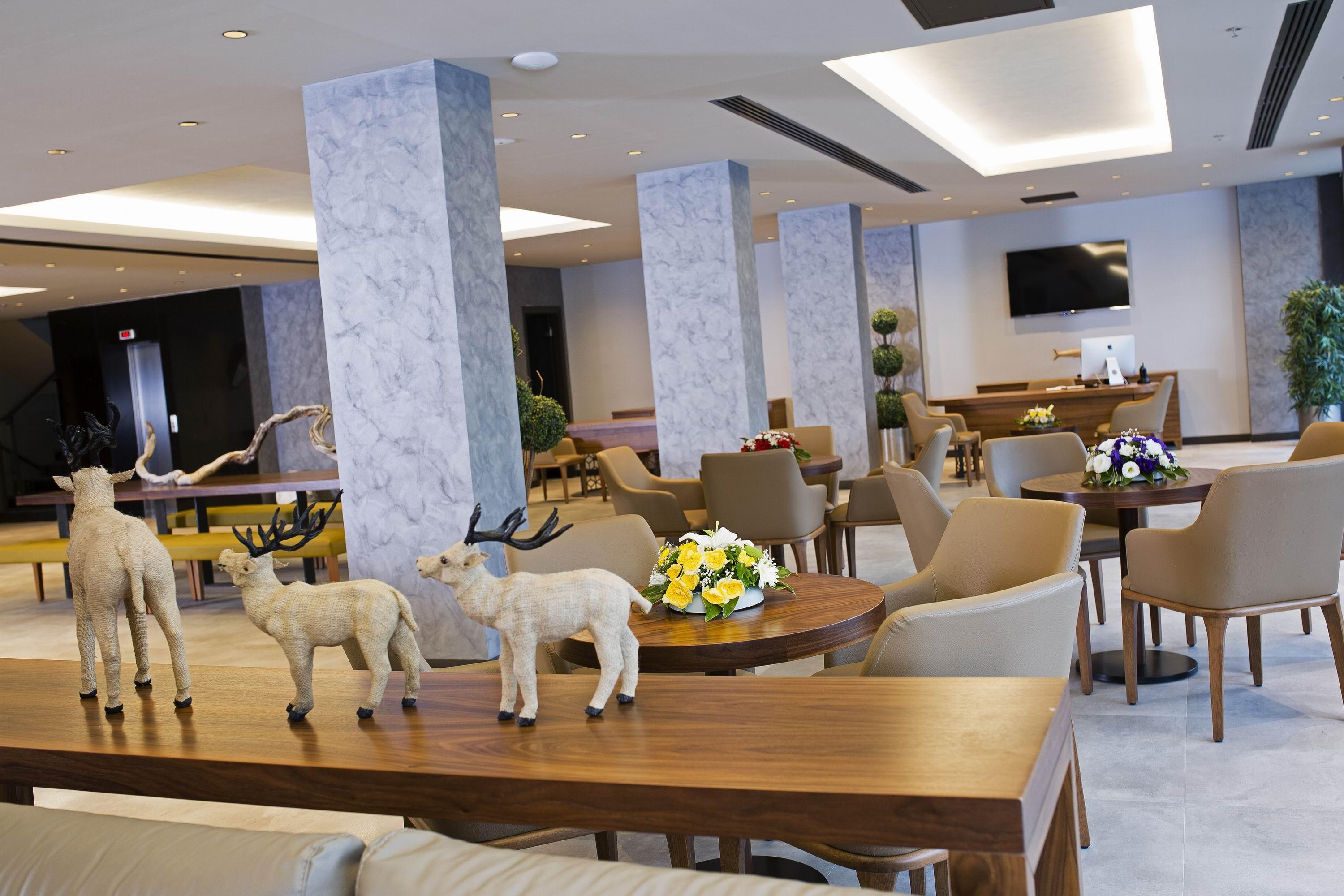 Mirage World Hotel İcmeler Εξωτερικό φωτογραφία